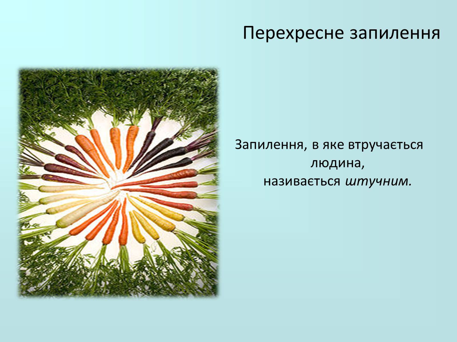 Презентація на тему «Запилення та запліднення рослин» (варіант 2) - Слайд #7