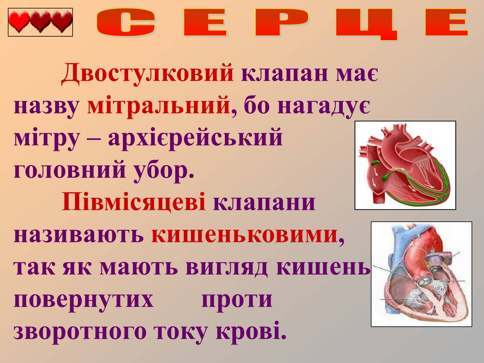 Презентація на тему «Серце людини» (варіант 1) - Слайд #9