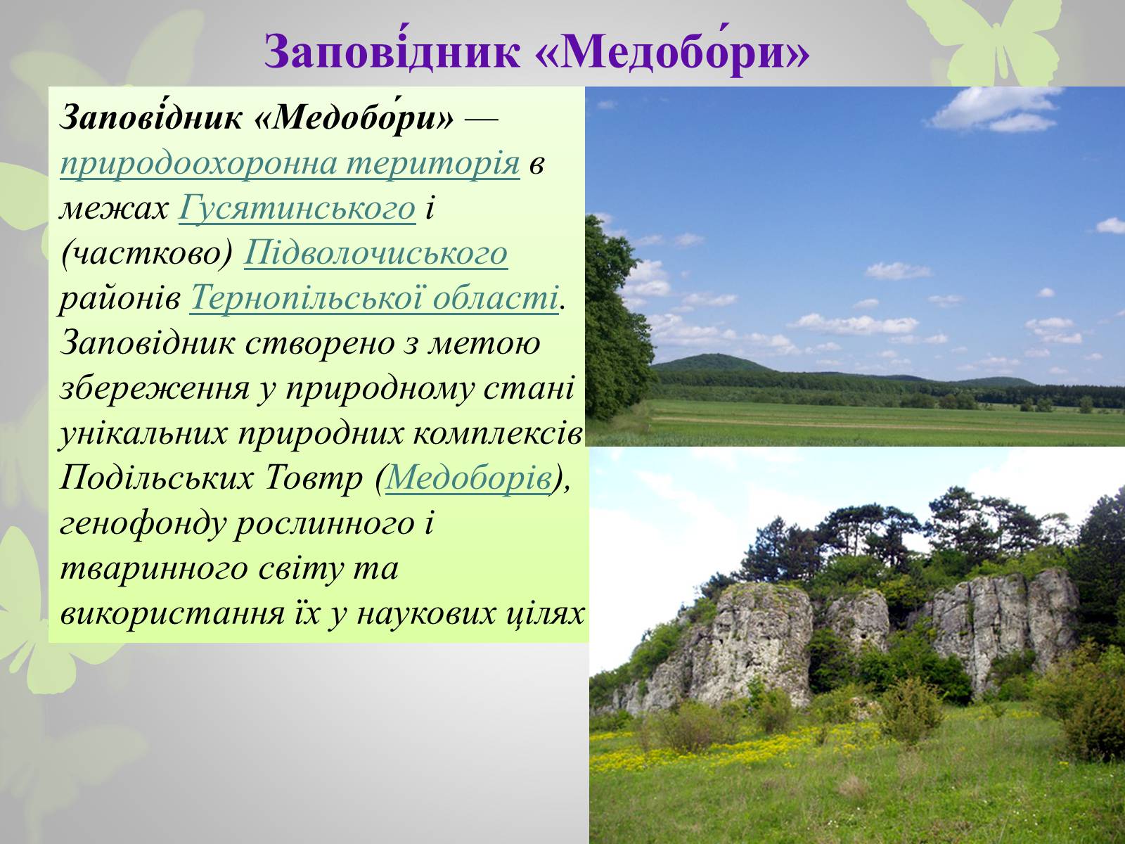 Презентація на тему «Природні заповідники України» (варіант 3) - Слайд #7