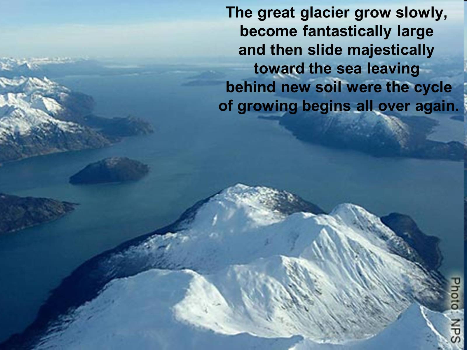 Презентація на тему «Glacier Bay» - Слайд #6