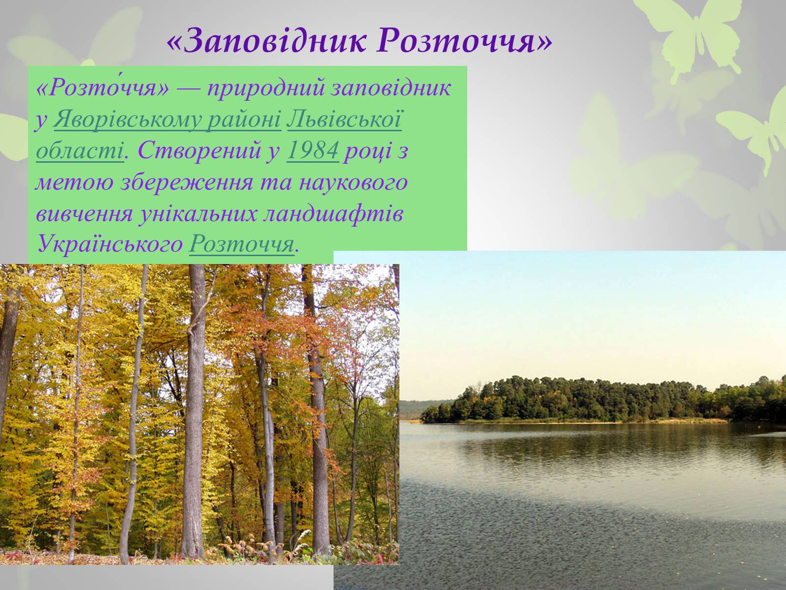 Презентація на тему «Природні заповідники України» (варіант 3) - Слайд #9