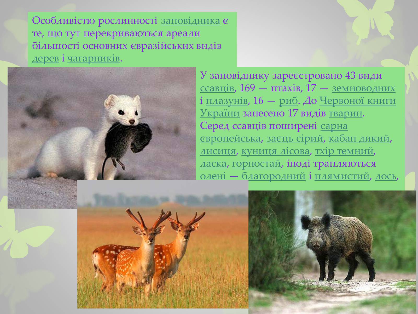 Презентація на тему «Природні заповідники України» (варіант 3) - Слайд #10