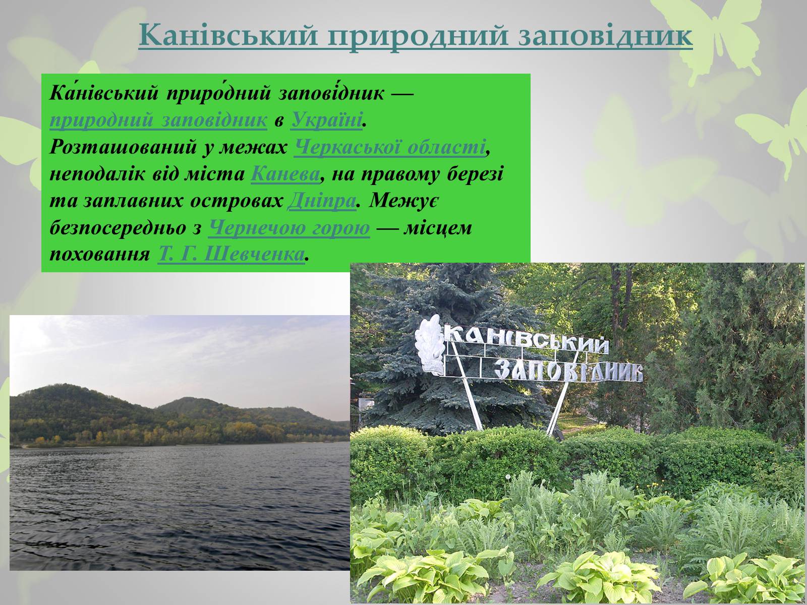 Презентація на тему «Природні заповідники України» (варіант 3) - Слайд #11