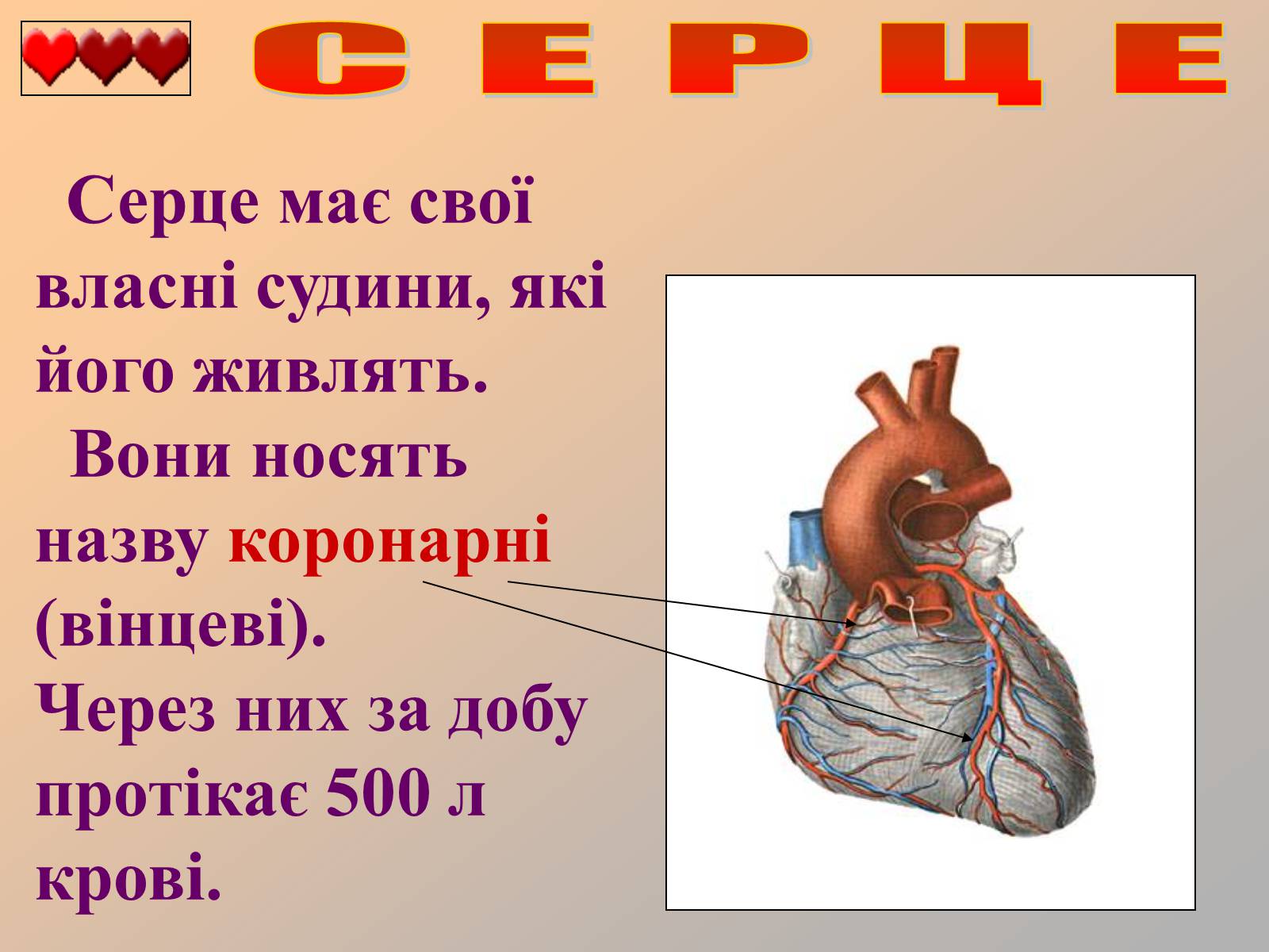 Презентація на тему «Серце людини» (варіант 1) - Слайд #18