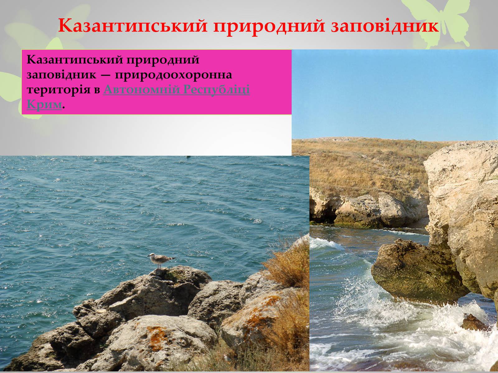 Презентація на тему «Природні заповідники України» (варіант 3) - Слайд #13