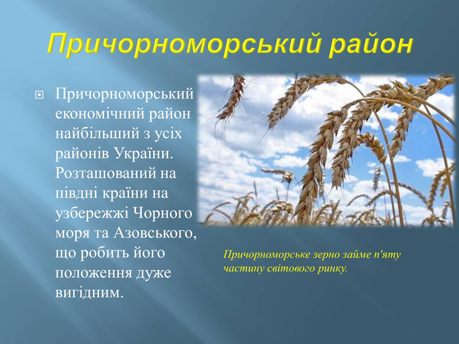 Презентація на тему «Економіко-географічний поділ України» (варіант 1) - Слайд #22