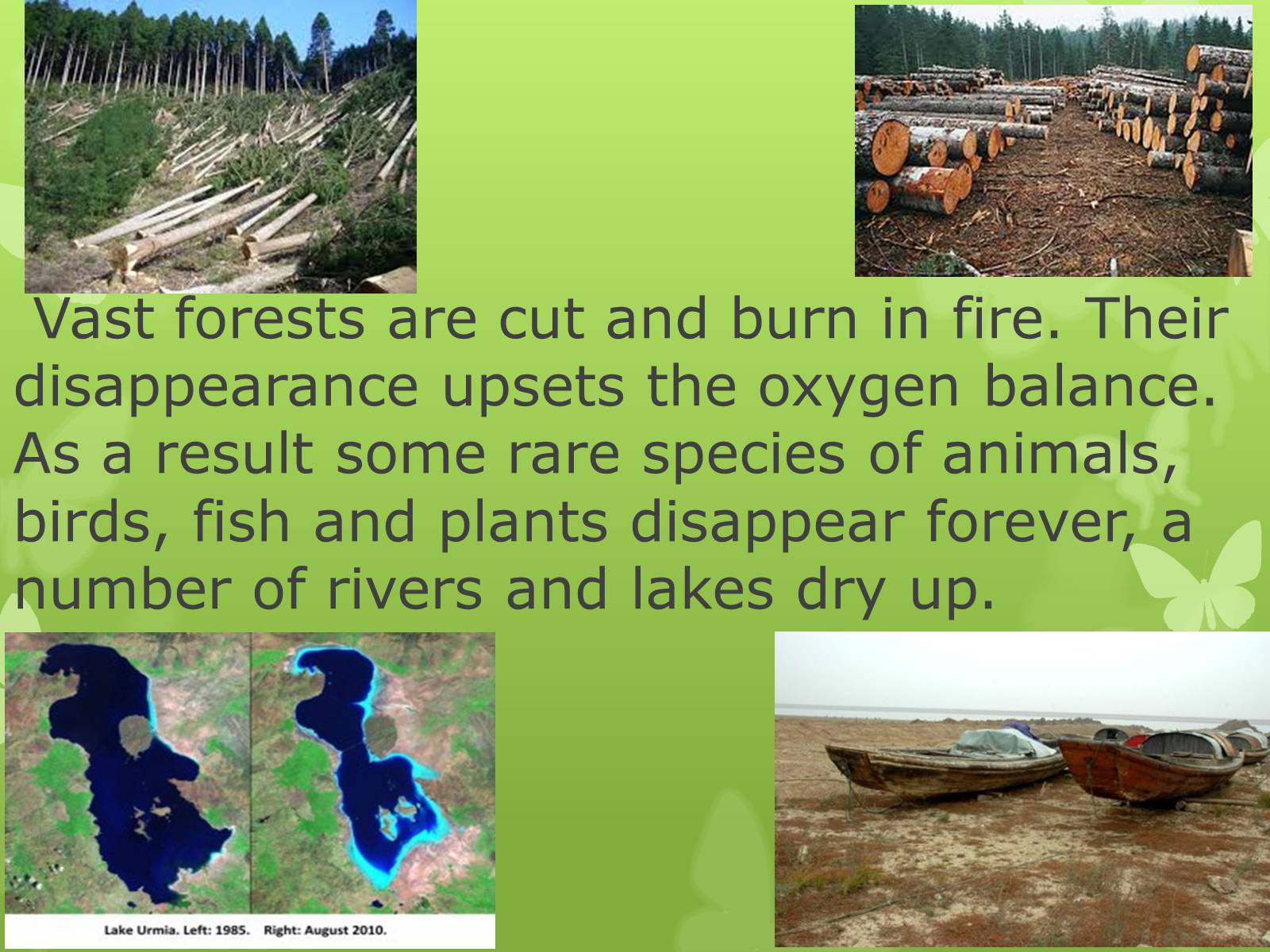 Презентація на тему «Ecological problems» (варіант 1) - Слайд #6