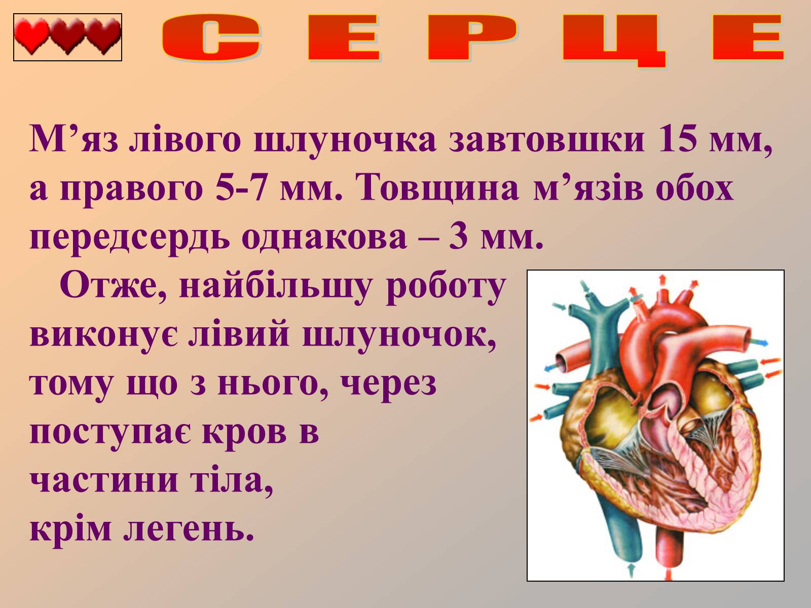 Презентація на тему «Серце людини» (варіант 1) - Слайд #20
