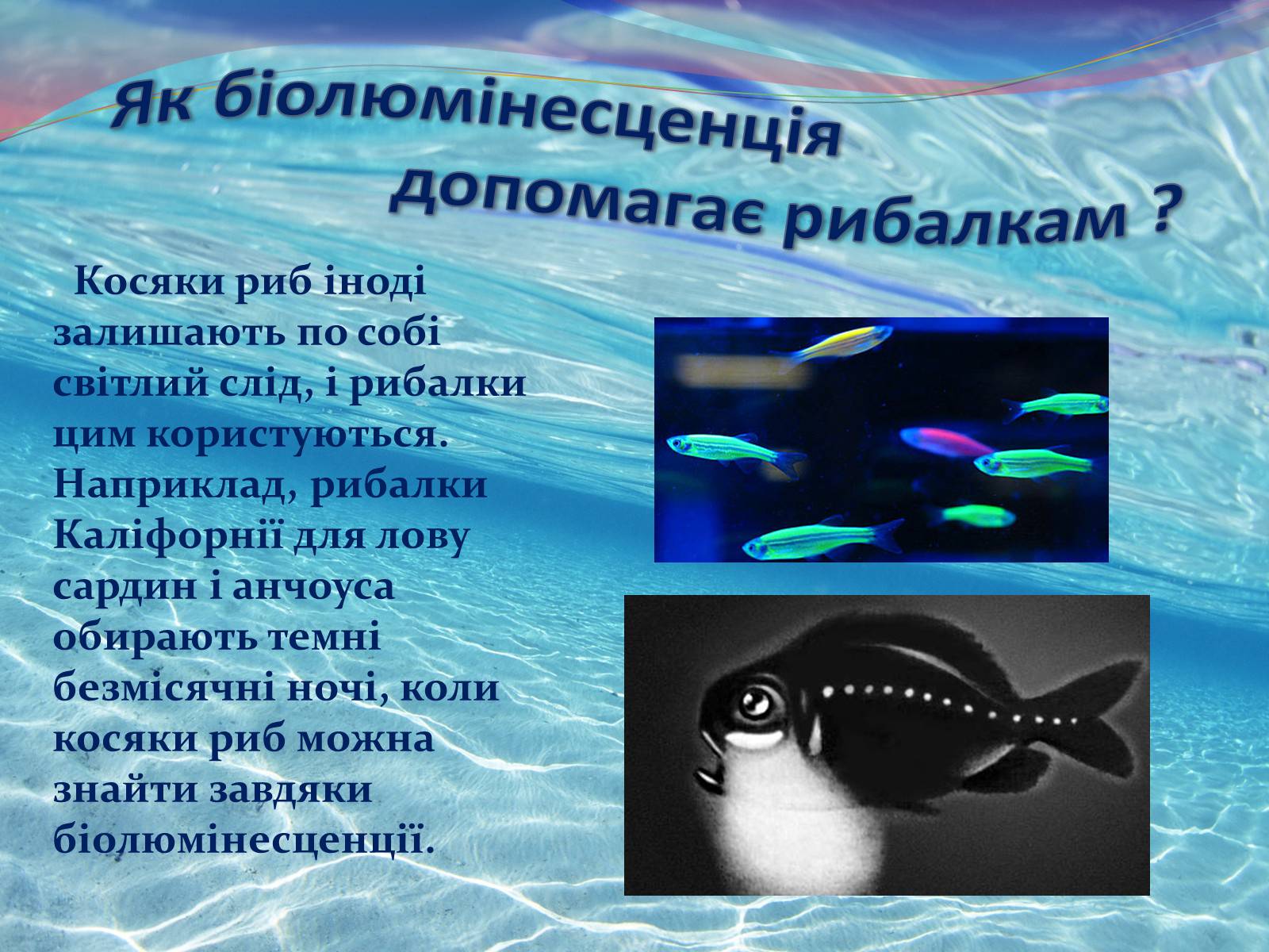 Презентація на тему «Цікаво про риб» - Слайд #5