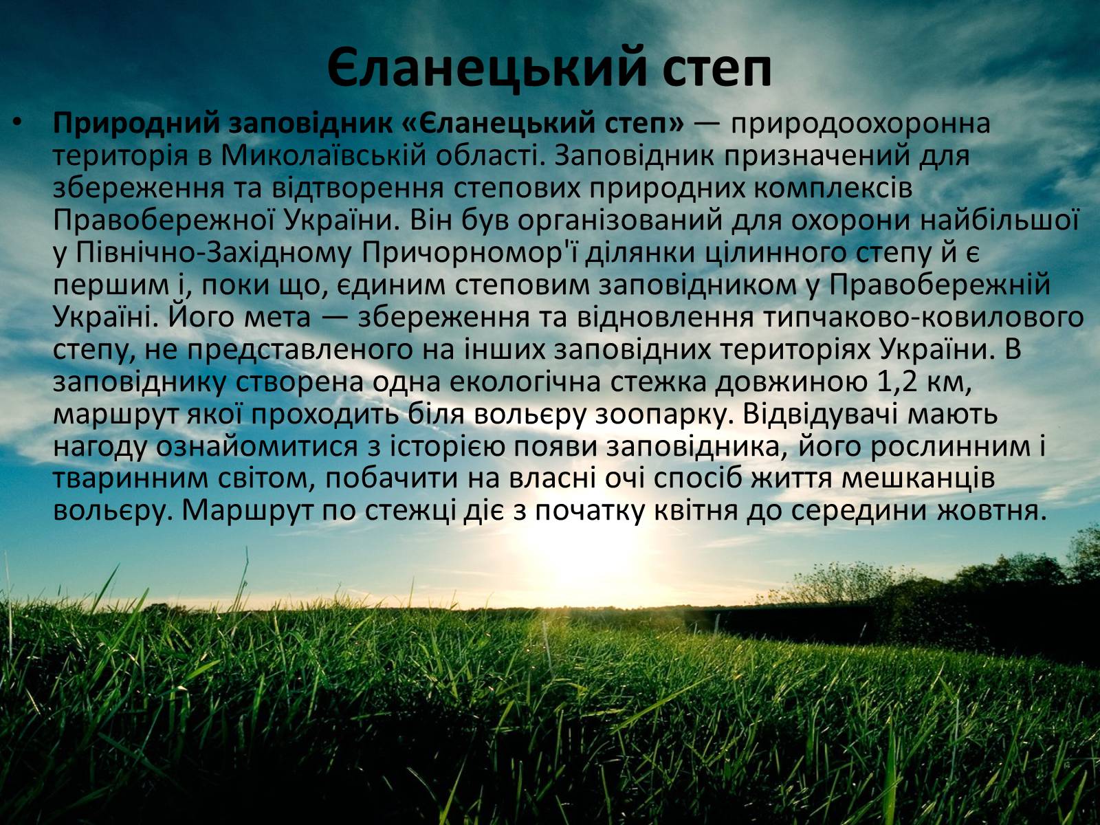 Презентація на тему «Заповідна мережа України» (варіант 3) - Слайд #16