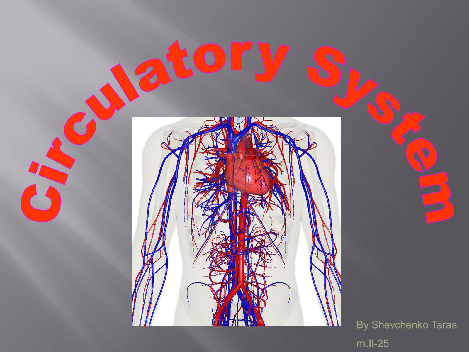 Презентація на тему «Circulatory System» - Слайд #1