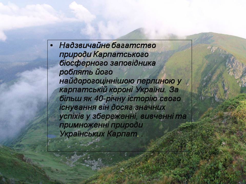 Презентація на тему «Карпатський біосферний заповідник» (варіант 4) - Слайд #7