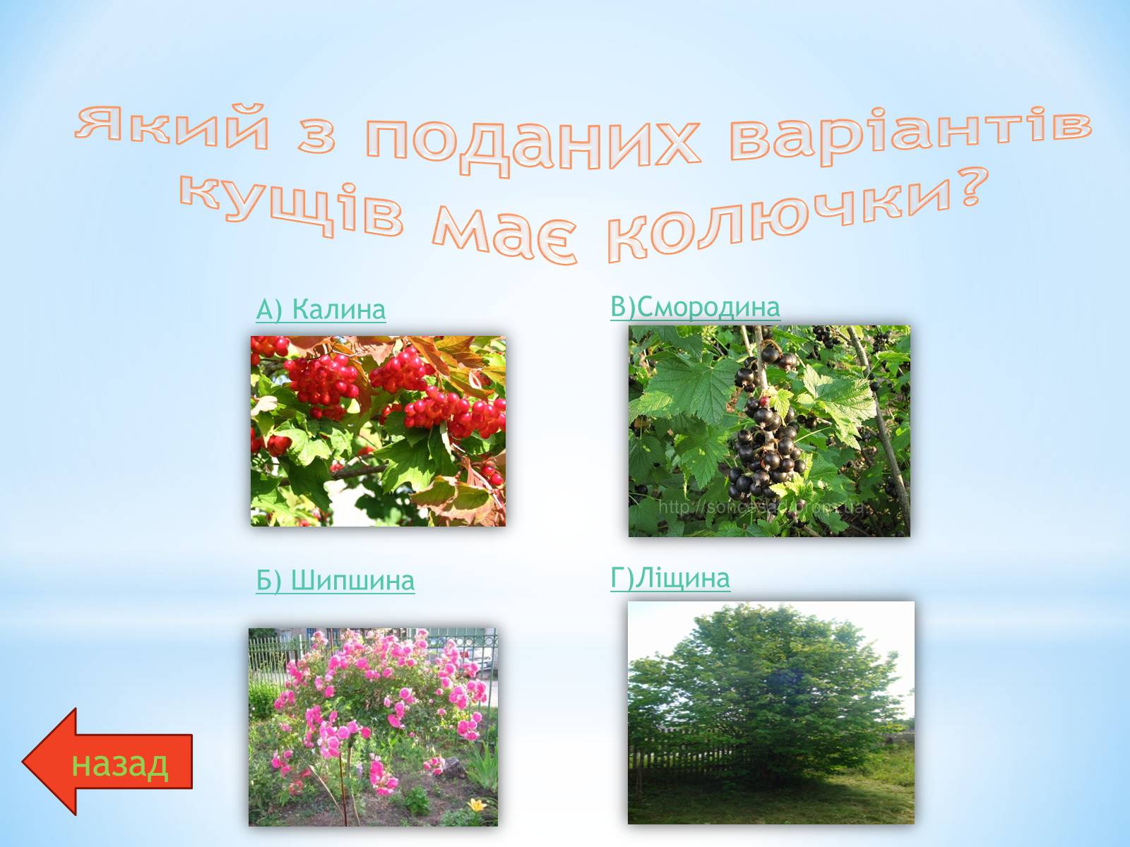 Презентація на тему «Різноманітний сад природи» - Слайд #15