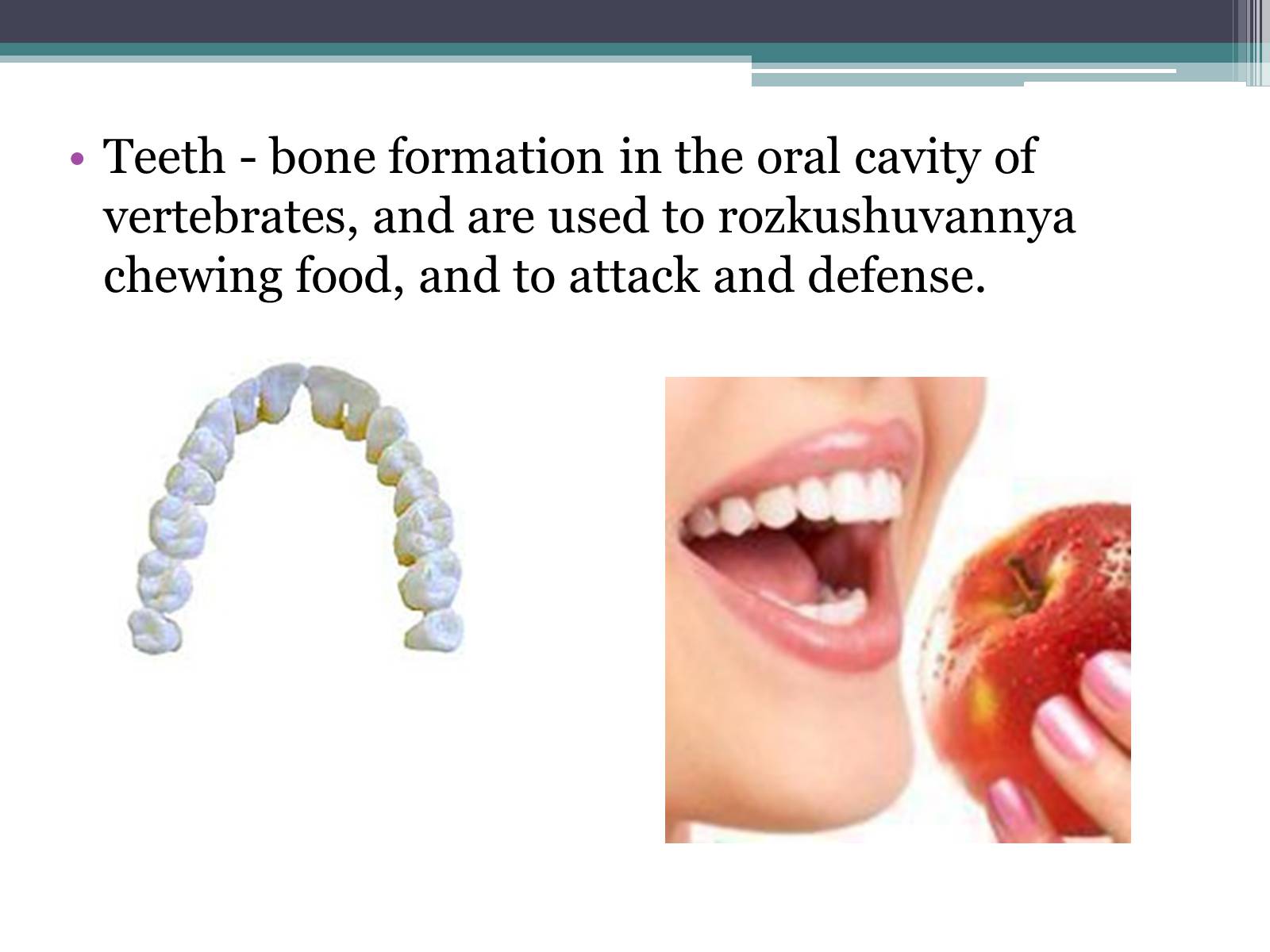 Презентація на тему «Teeth» - Слайд #2