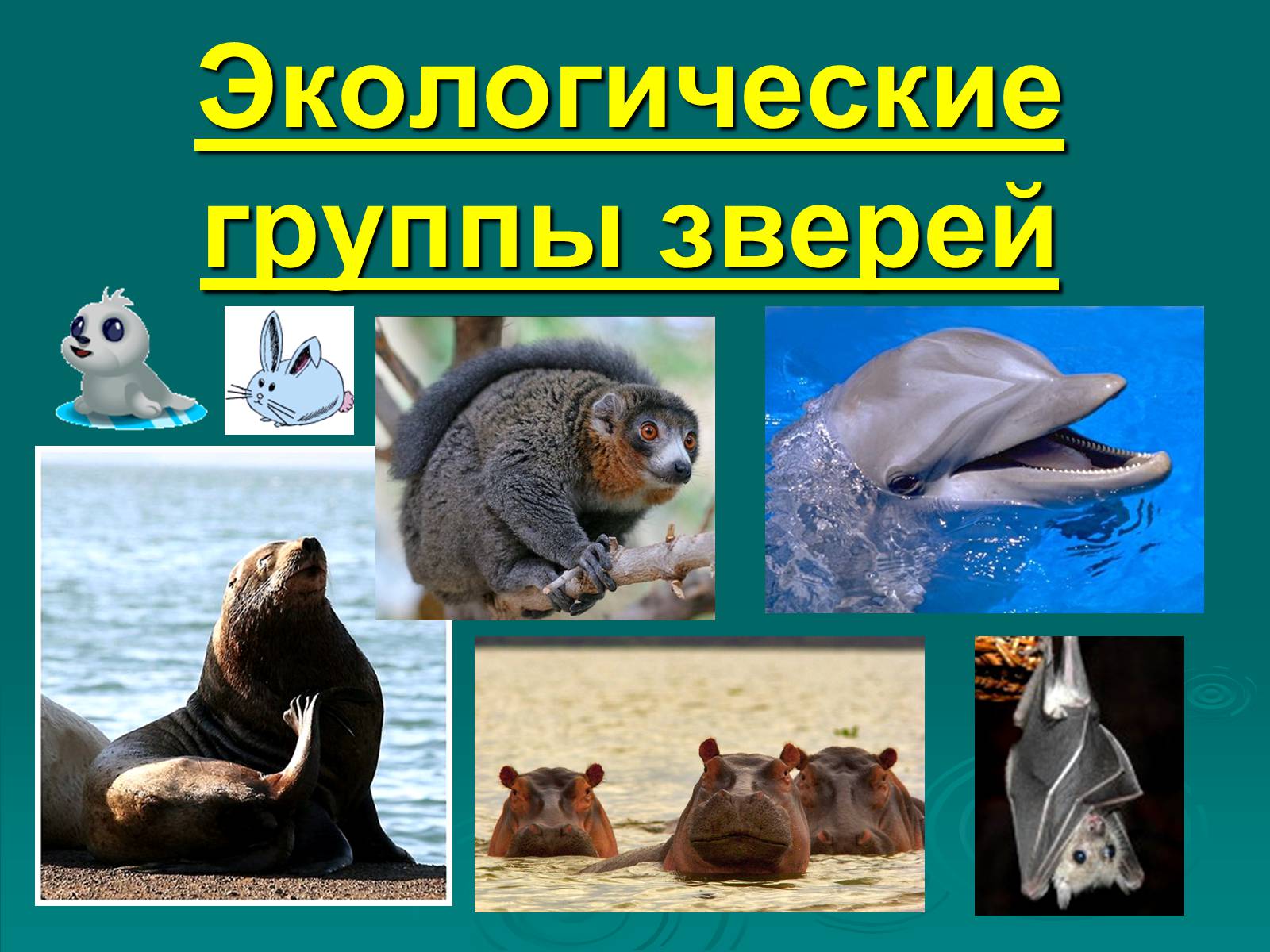 Презентація на тему «Класс Млекопитающие» (варіант 2) - Слайд #27