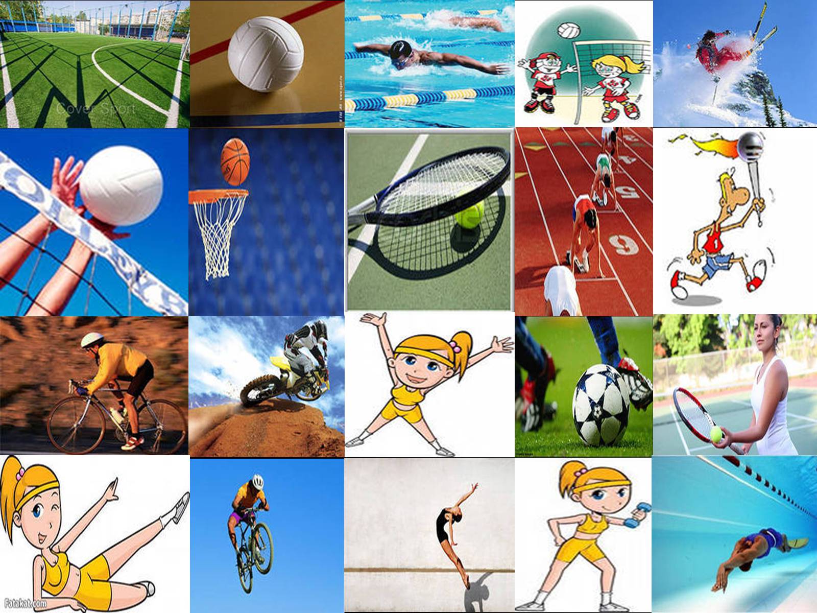 All kinds of sports. Виды спорта коллаж. Коллаж на спортивную тему. Летние виды спорта. Коллаж дети и спорт.