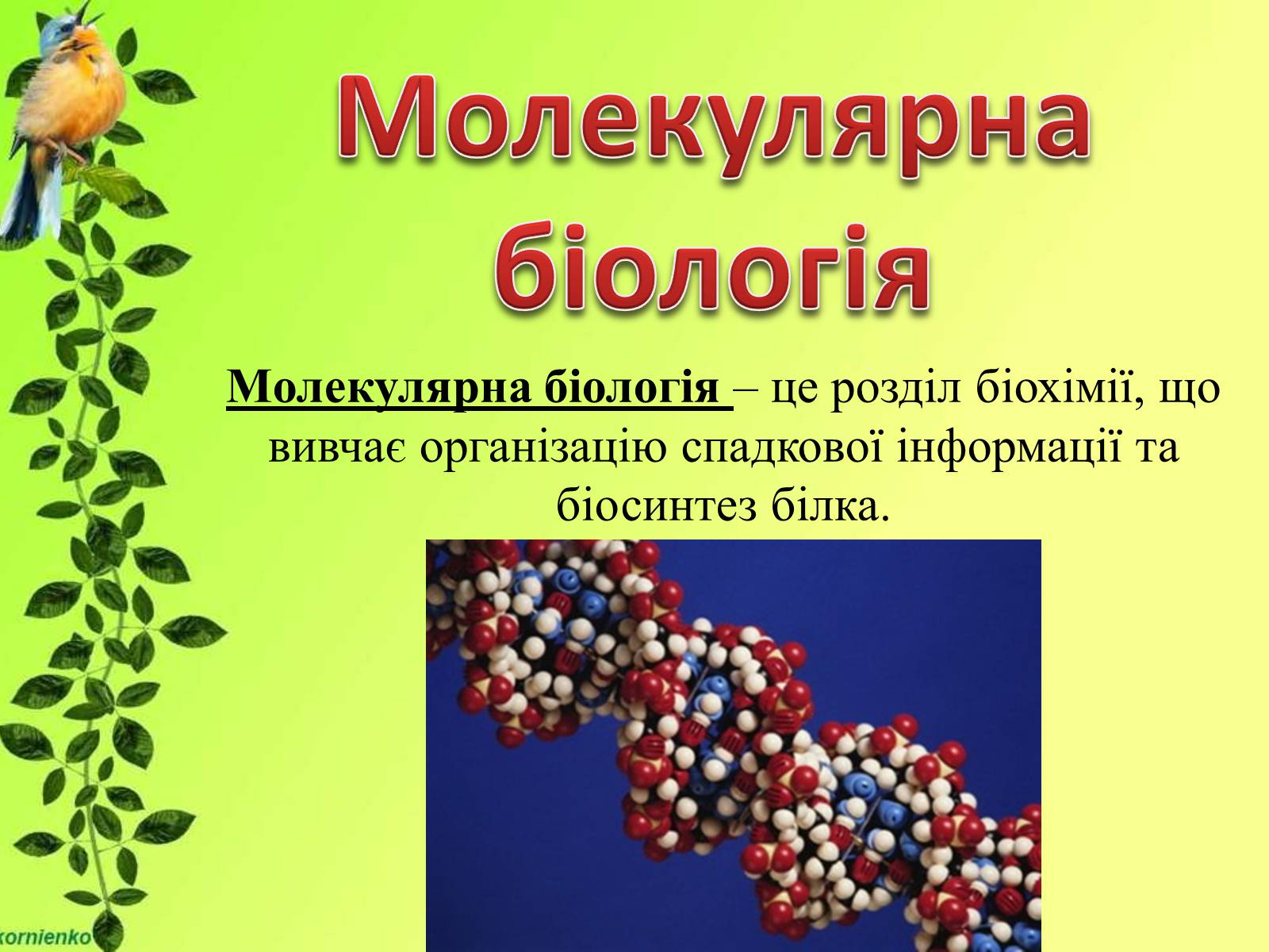 Презентація на тему «Біологічні науки» - Слайд #11