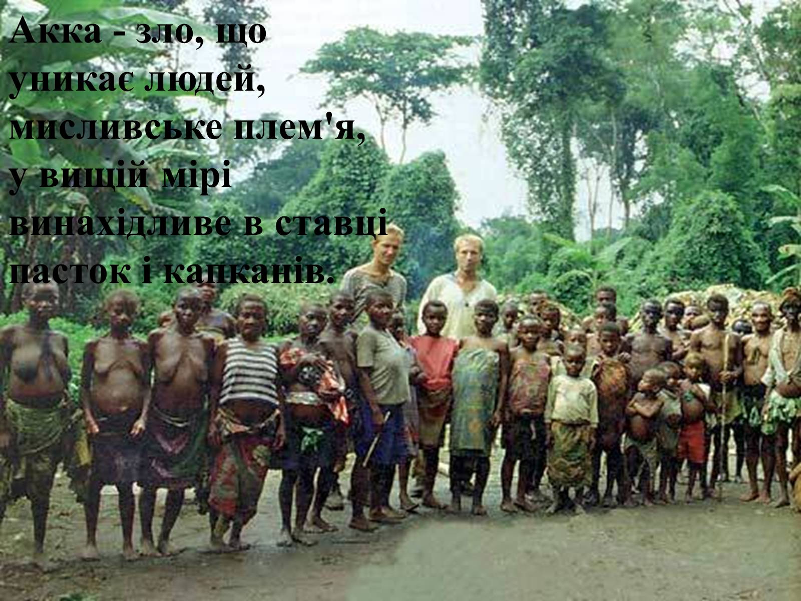 Пигмеи народ Африки