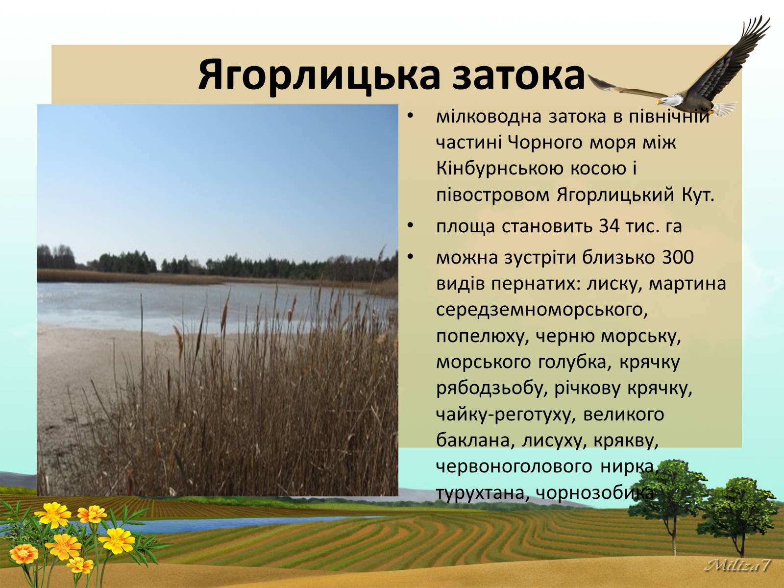 Презентація на тему «Чудеса України» - Слайд #23