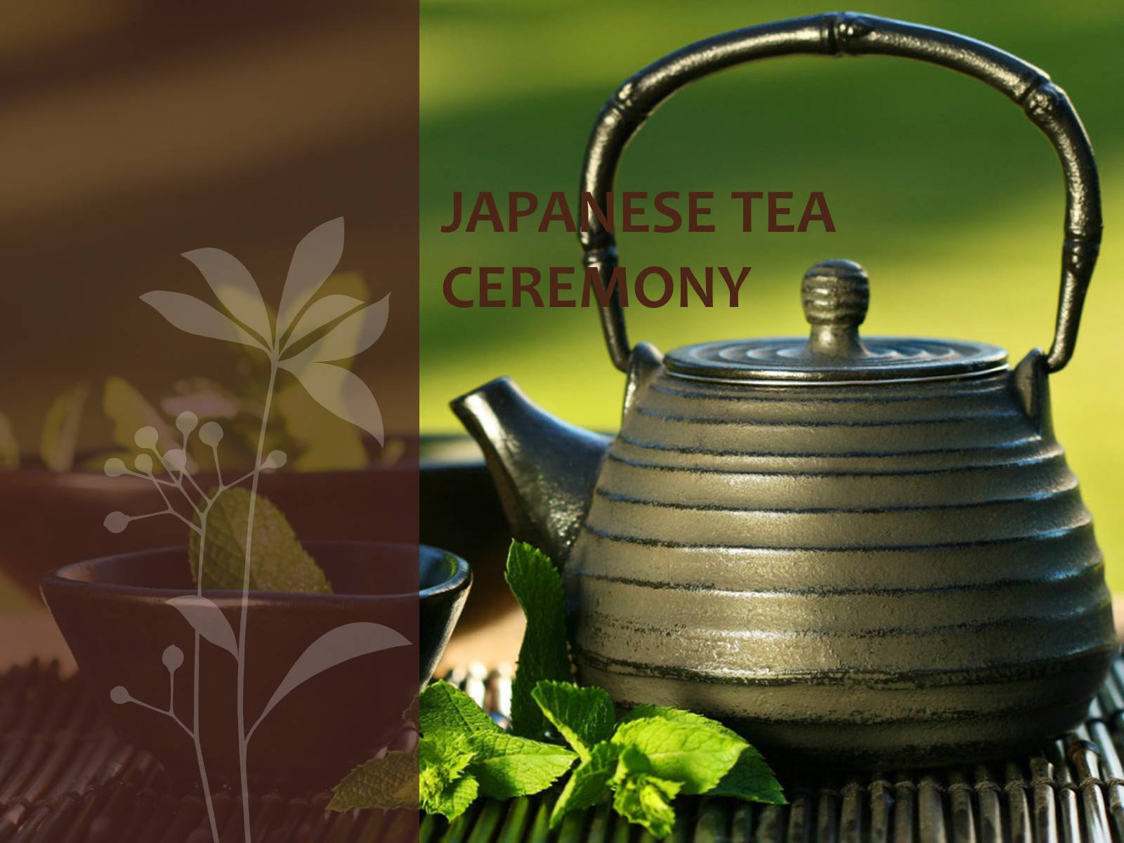 Презентація на тему «Japanese tea ceremony» - Слайд #1