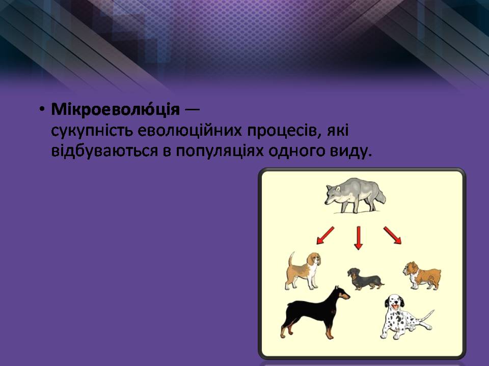 Презентація на тему «Мікроеволюція» (варіант 2) - Слайд #2
