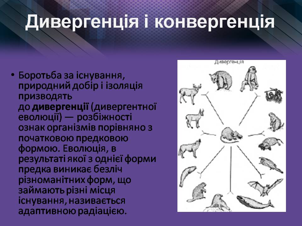 Презентація на тему «Мікроеволюція» (варіант 2) - Слайд #9