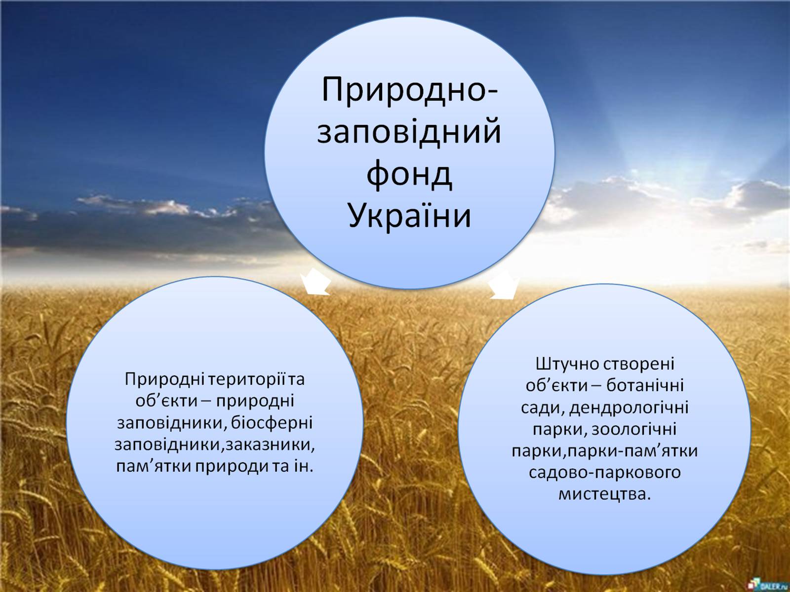 Презентація на тему «Заповідна мережа України» (варіант 4) - Слайд #3