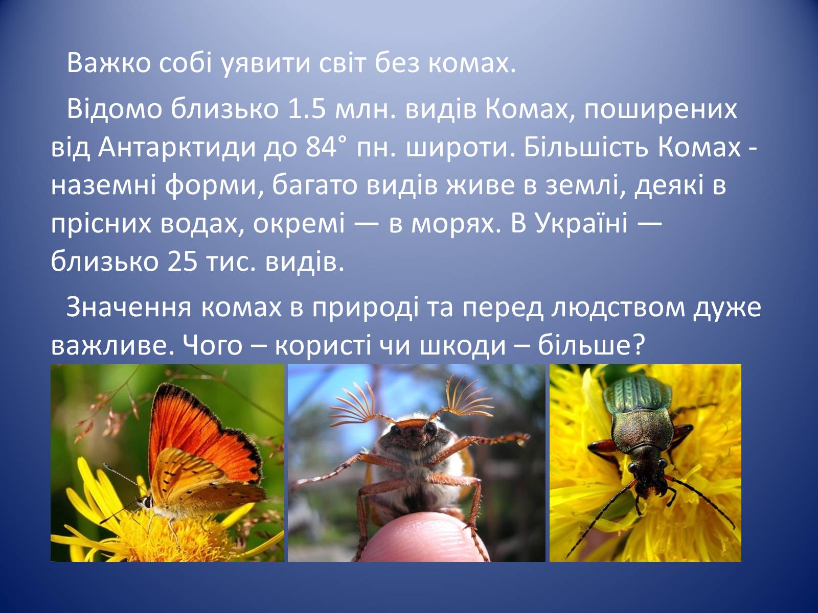 Презентація на тему «Значення комах в природі та житті людини» - Слайд #3