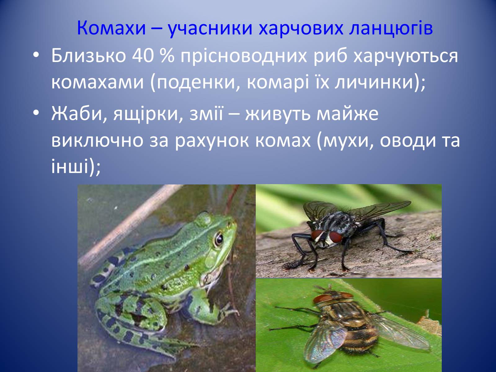 Презентація на тему «Значення комах в природі та житті людини» - Слайд #4