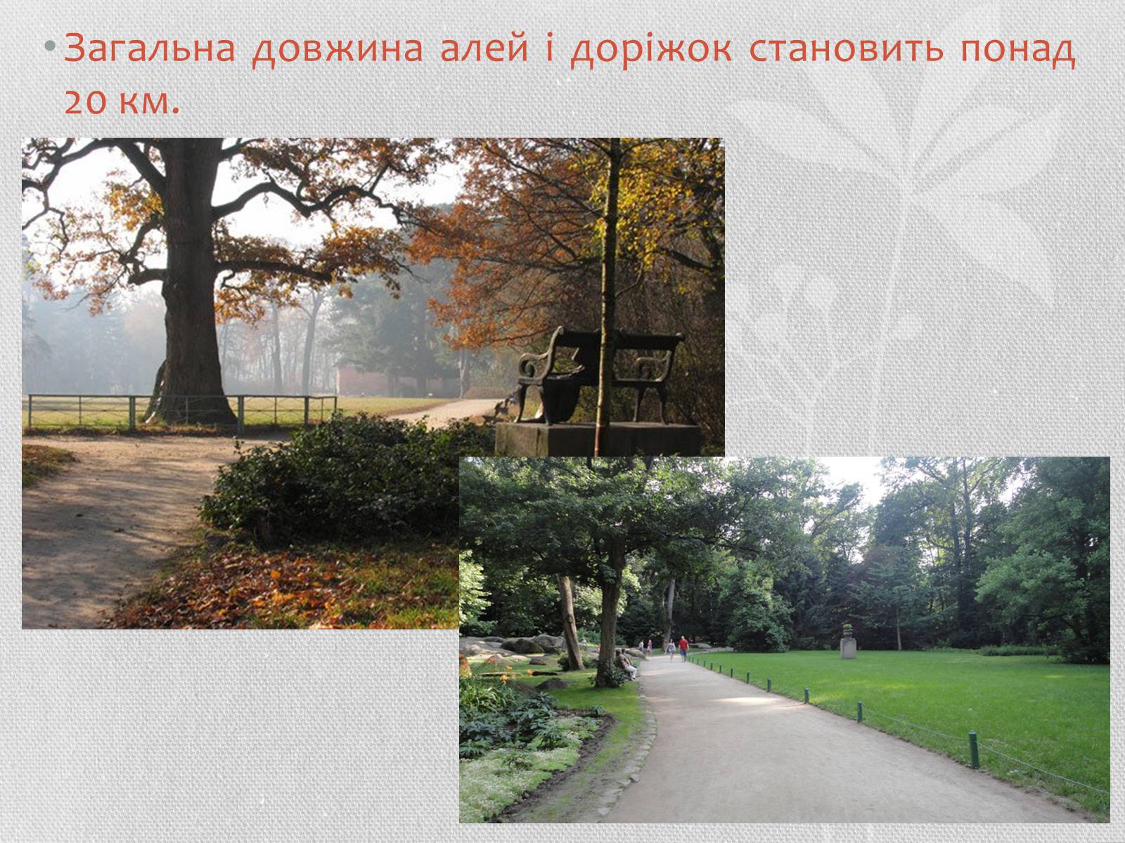 Презентація на тему «Садово-паркове мистецтво» (варіант 1) - Слайд #10