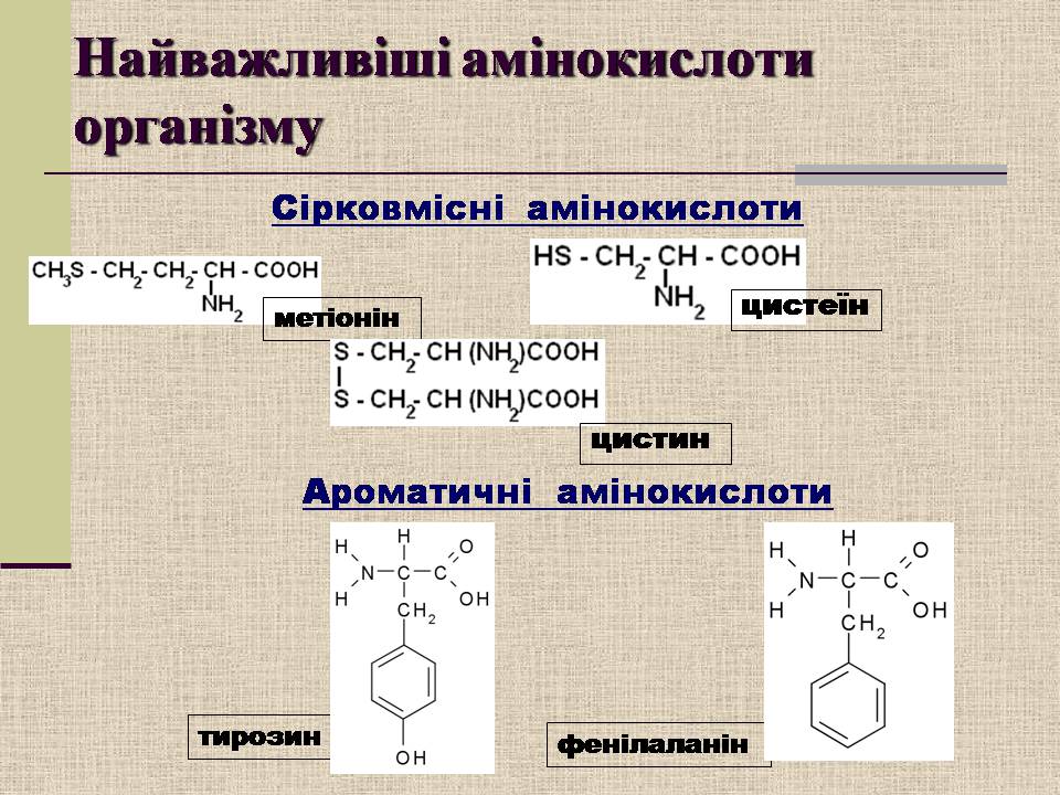 Презентація на тему «Амінокислоти. Пептиди. Білки» - Слайд #7