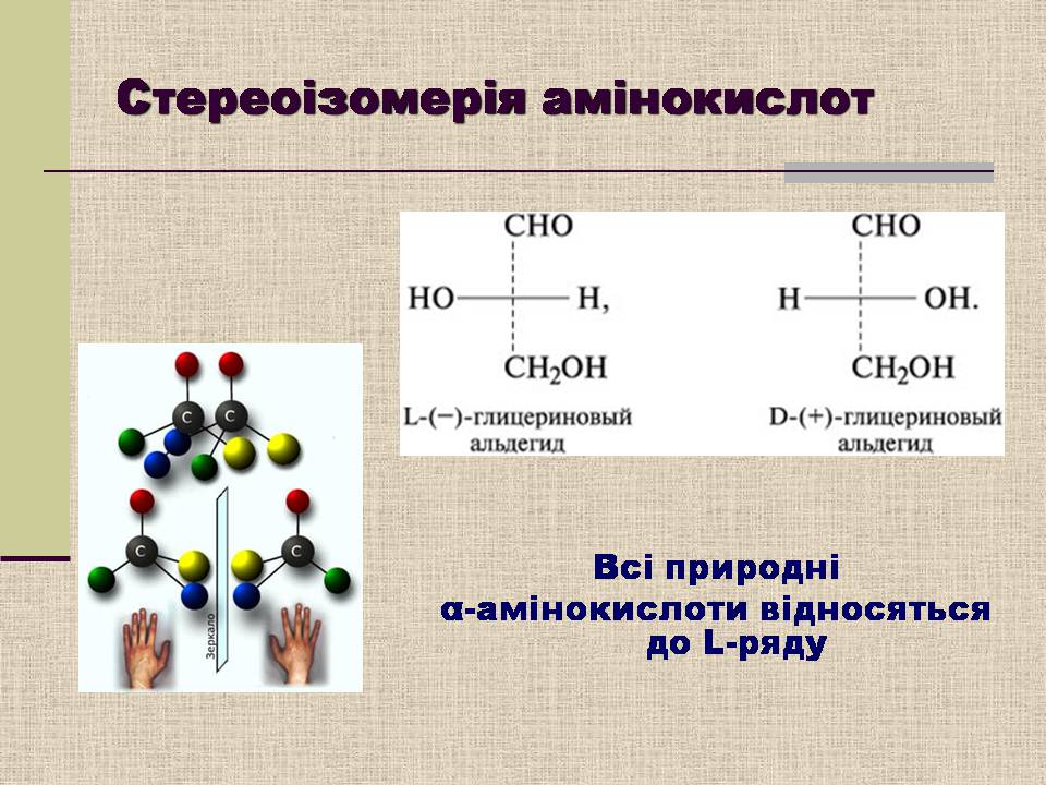 Презентація на тему «Амінокислоти. Пептиди. Білки» - Слайд #9