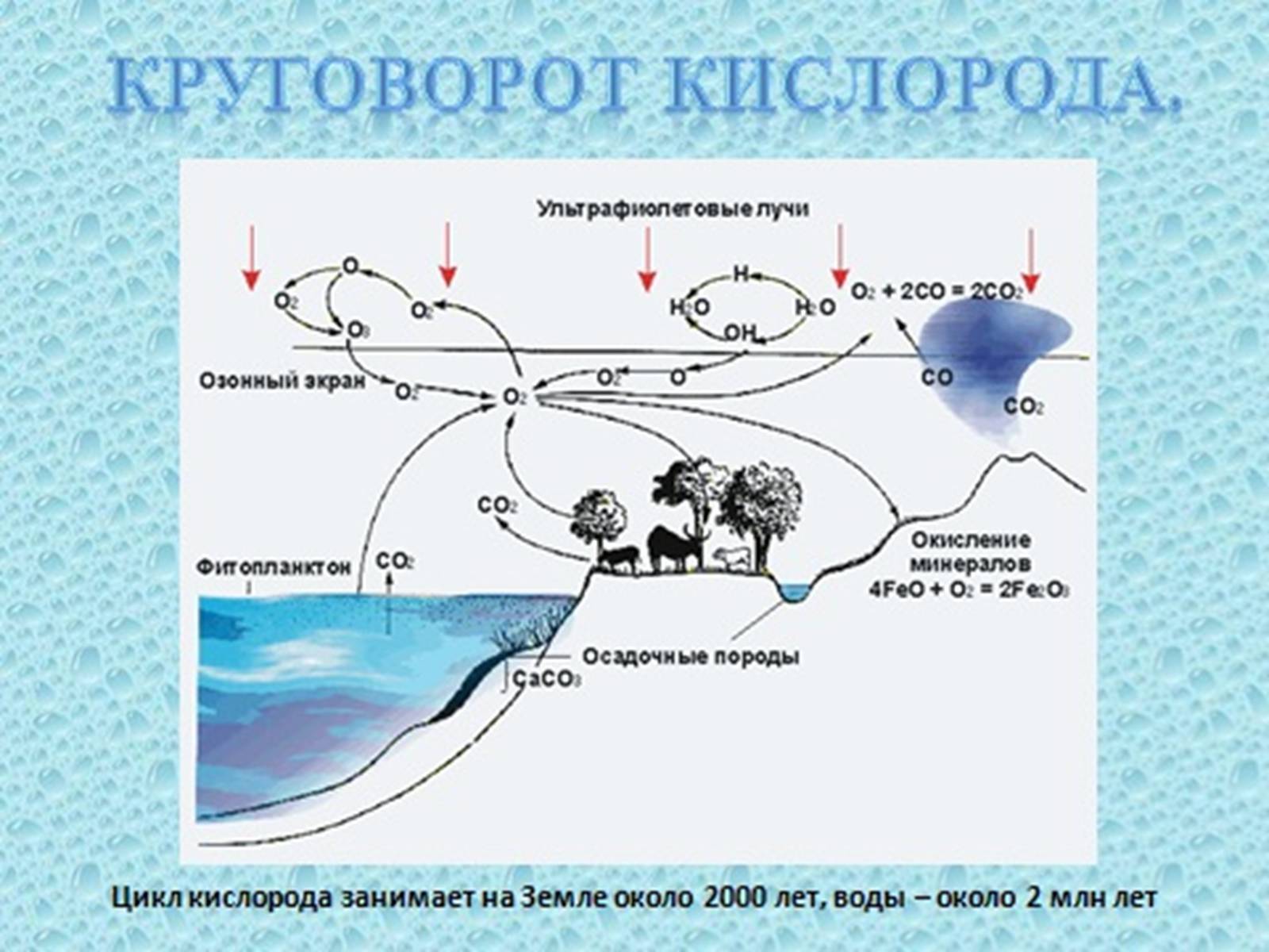 Этапы формирования воды в природе. Круговорот кислорода (по е. а. Криксунову и др., 1995). Круговорот кислорода ( по п. Дювиньо и м. Тангу ). Круговорот кислорода в природе схема. Схема круговорота кислорода в биосфере 9 класс.