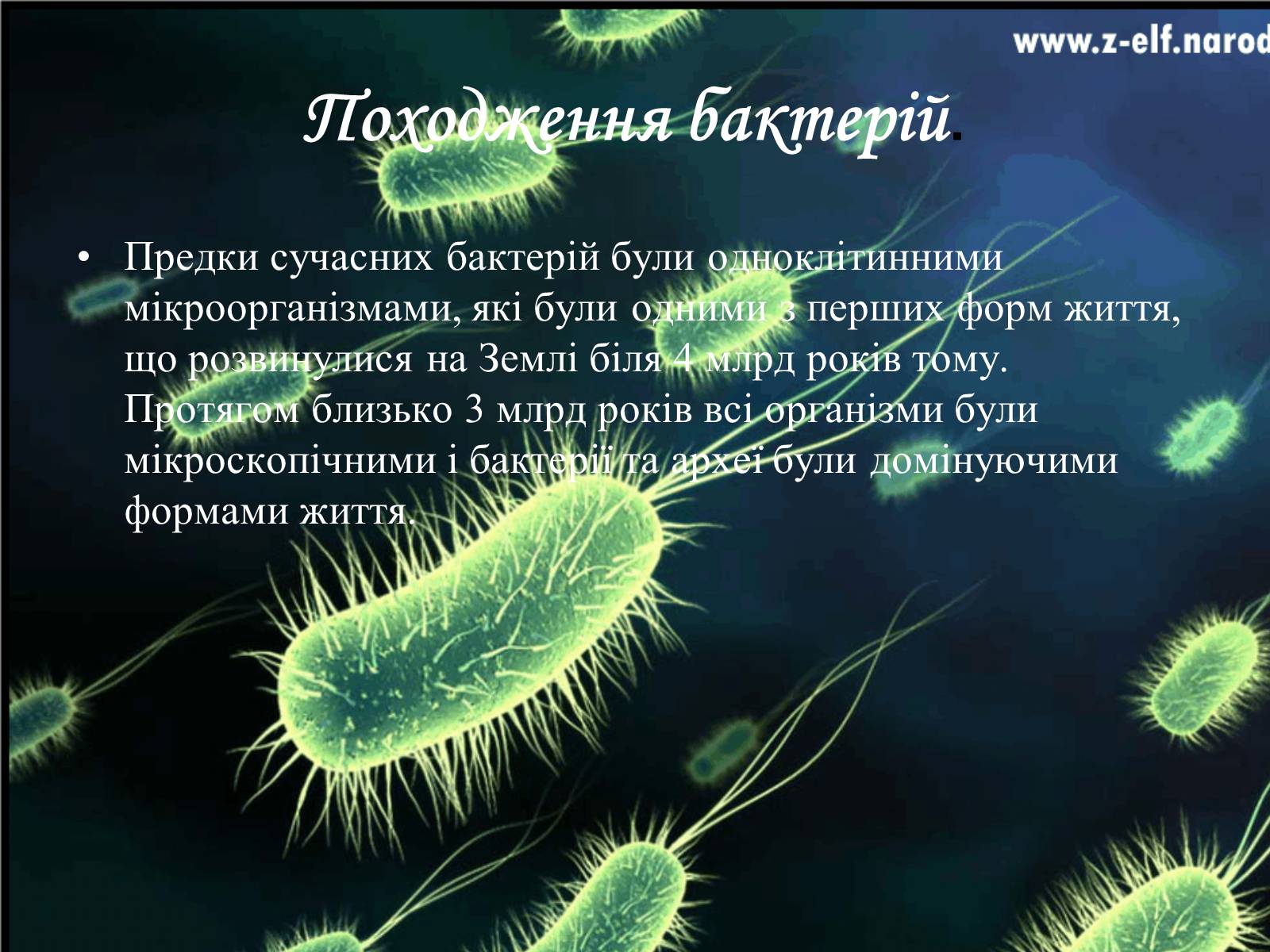 Презентація на тему «Бактерії та їх значення» - Слайд #3