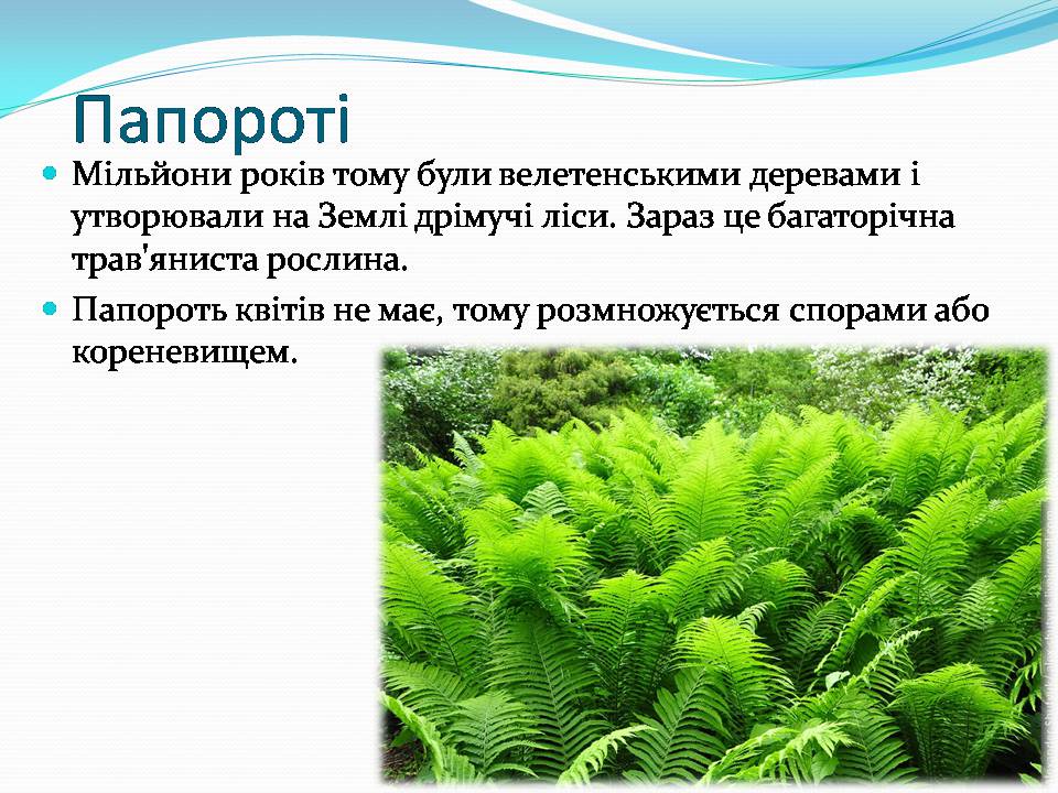 Презентація на тему «Різноманітність видів рослин у природі» - Слайд #8