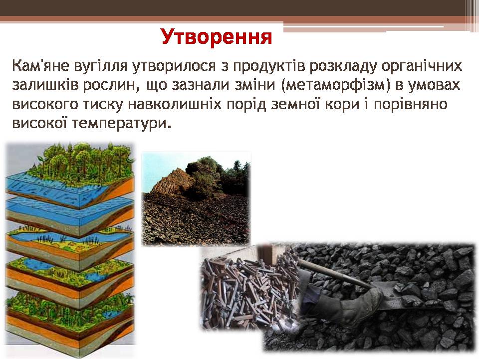 Презентація на тему «Кам’яне вугілля і продукти його переробки» - Слайд #5