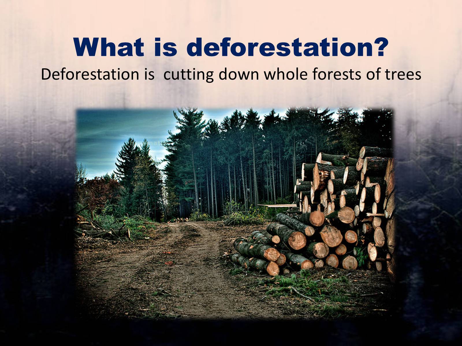 Презентація на тему «Deforestation» (варіант 1) - Слайд #2
