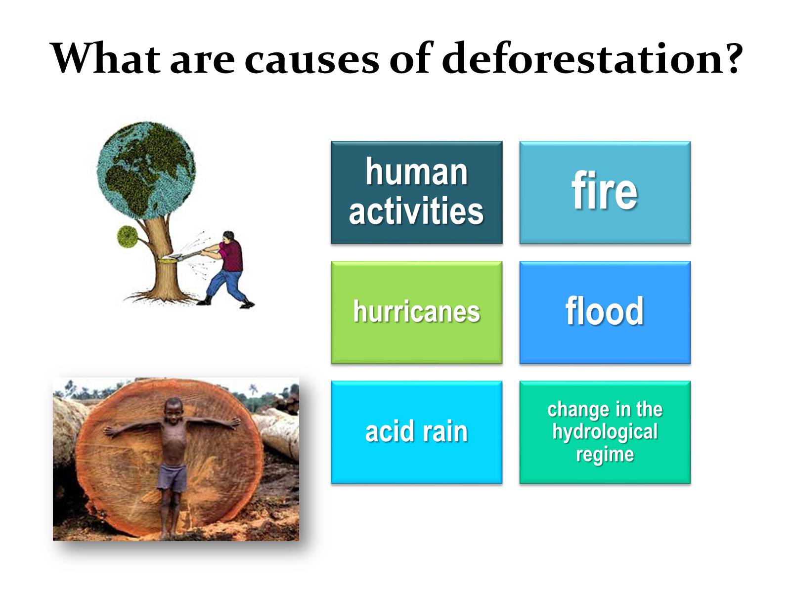 Презентація на тему «Deforestation» (варіант 1) - Слайд #3