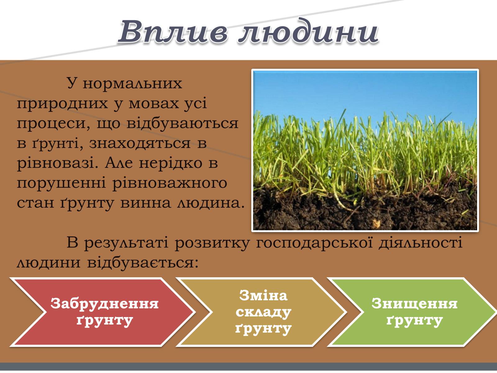 Презентація на тему «Забруднення ґрунтів» (варіант 1) - Слайд #3