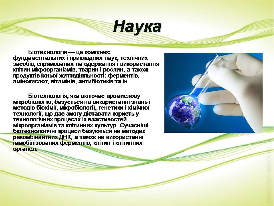 Презентація на тему «Біотехнології» (варіант 2) - Слайд #3