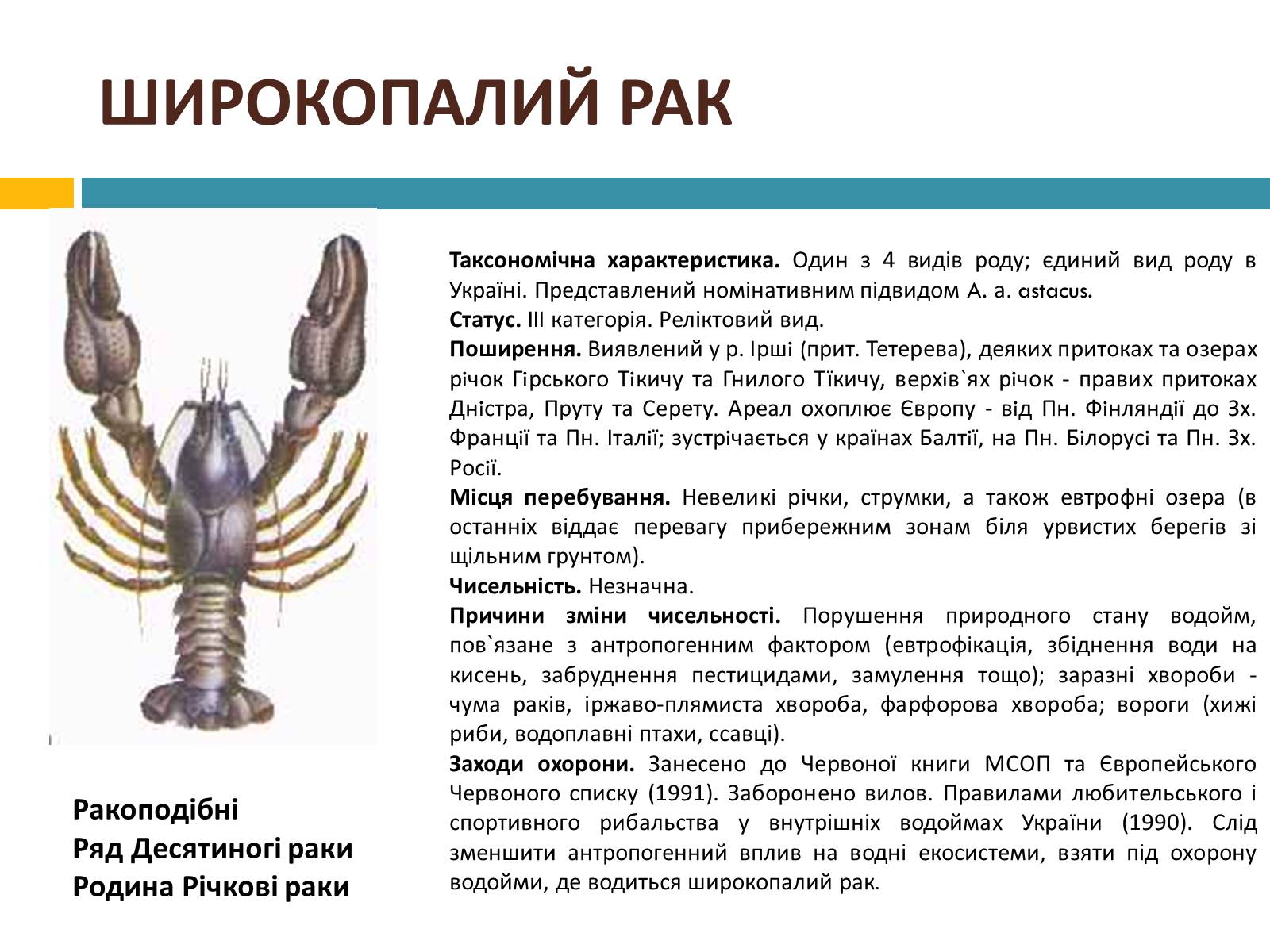 Презентація на тему «Червона книга україни» (варіант 4) - Слайд #3