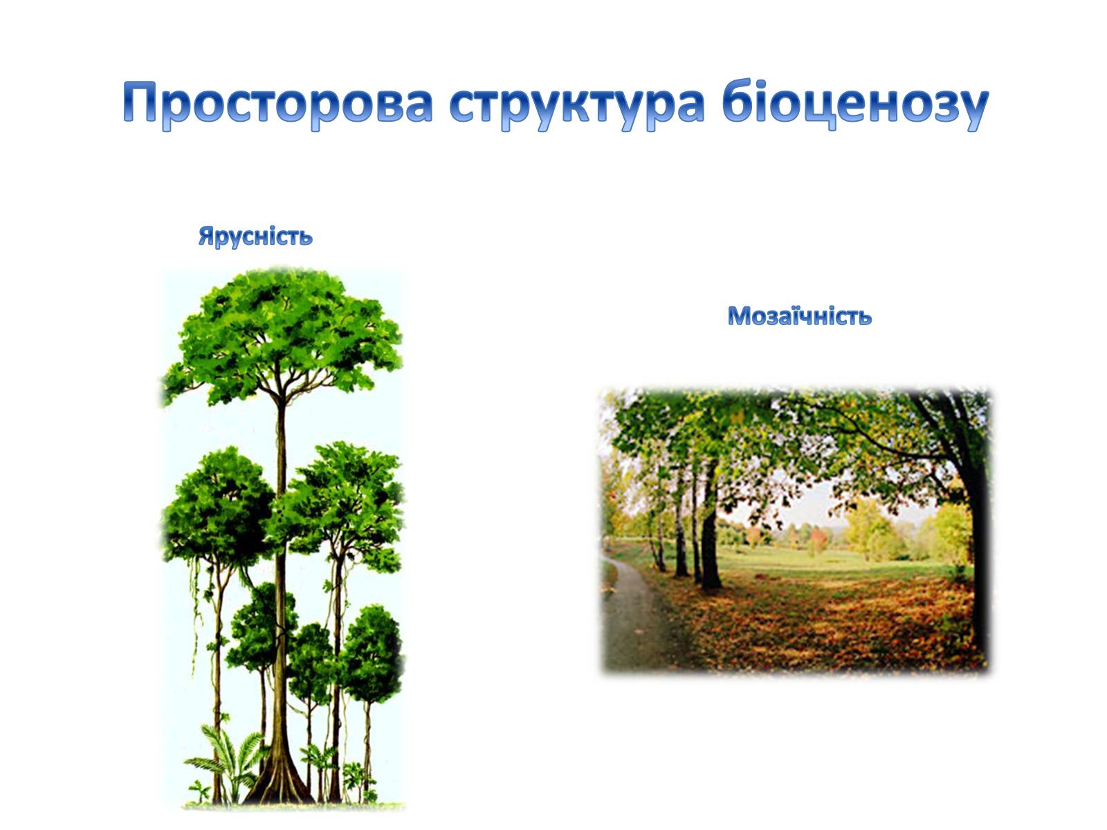 Презентація на тему «Угрупування та екосистеми» - Слайд #5