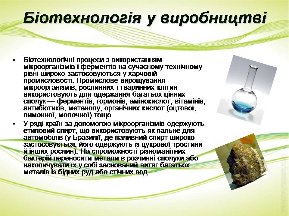 Презентація на тему «Біотехнології» (варіант 2) - Слайд #8