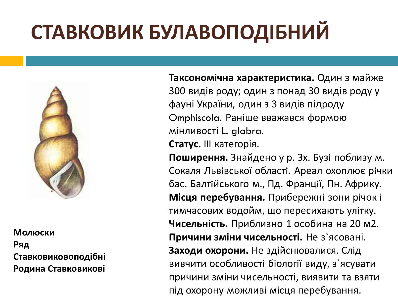 Презентація на тему «Червона книга україни» (варіант 4) - Слайд #8