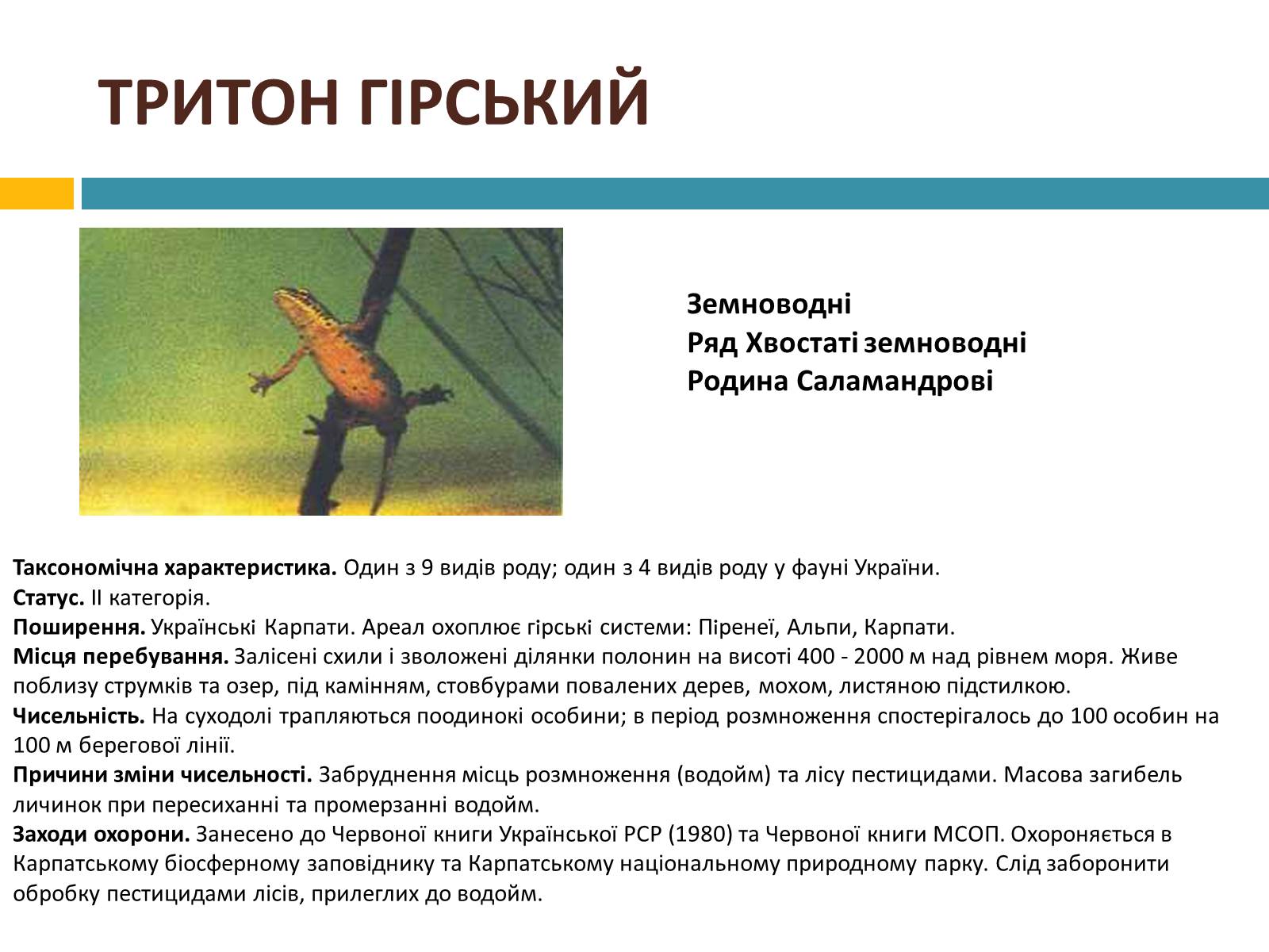 Презентація на тему «Червона книга україни» (варіант 4) - Слайд #10