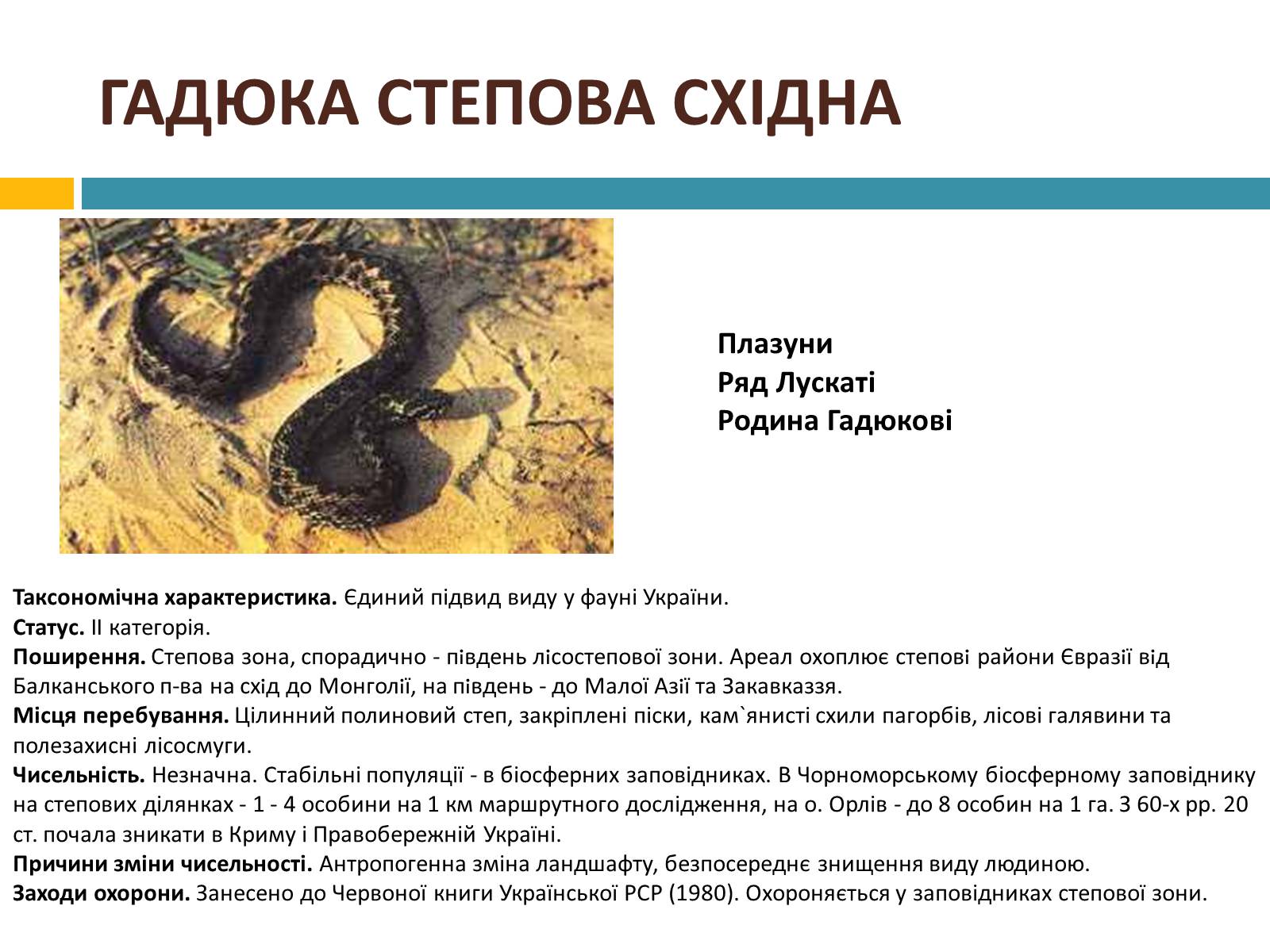 Презентація на тему «Червона книга україни» (варіант 4) - Слайд #11