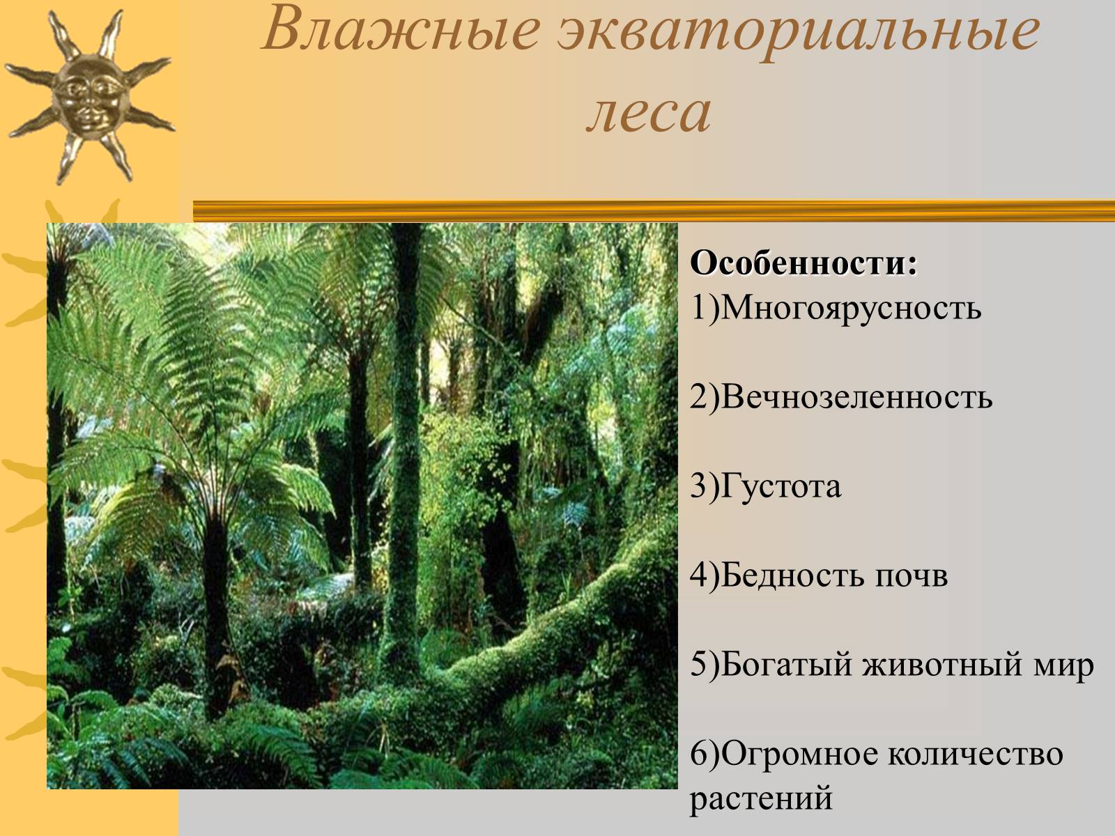 Растения Влажных Лесов