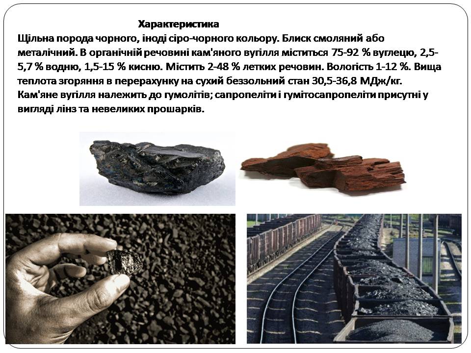 Презентація на тему «Кам’яне вугілля» (варіант 9) - Слайд #3