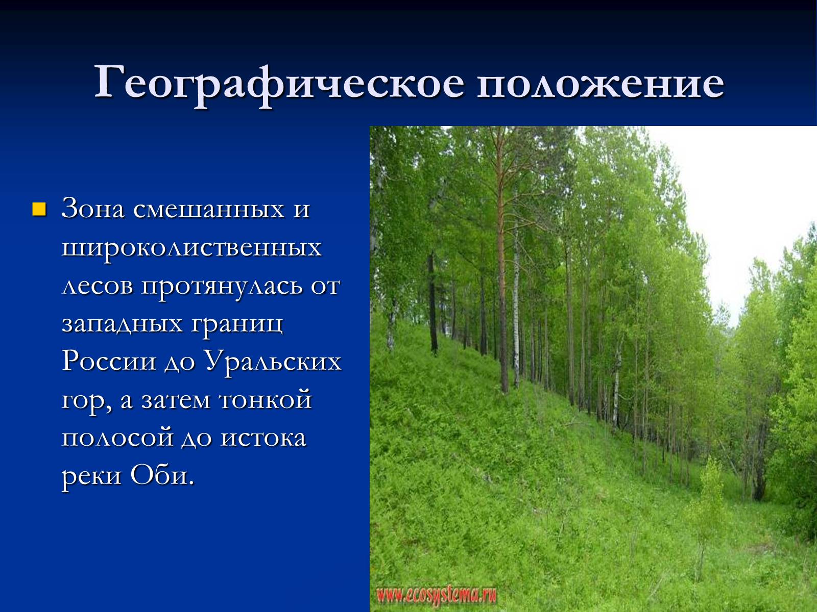 Презентація на тему «Природная зона смешанных и широколиственных лесов» - Слайд #2