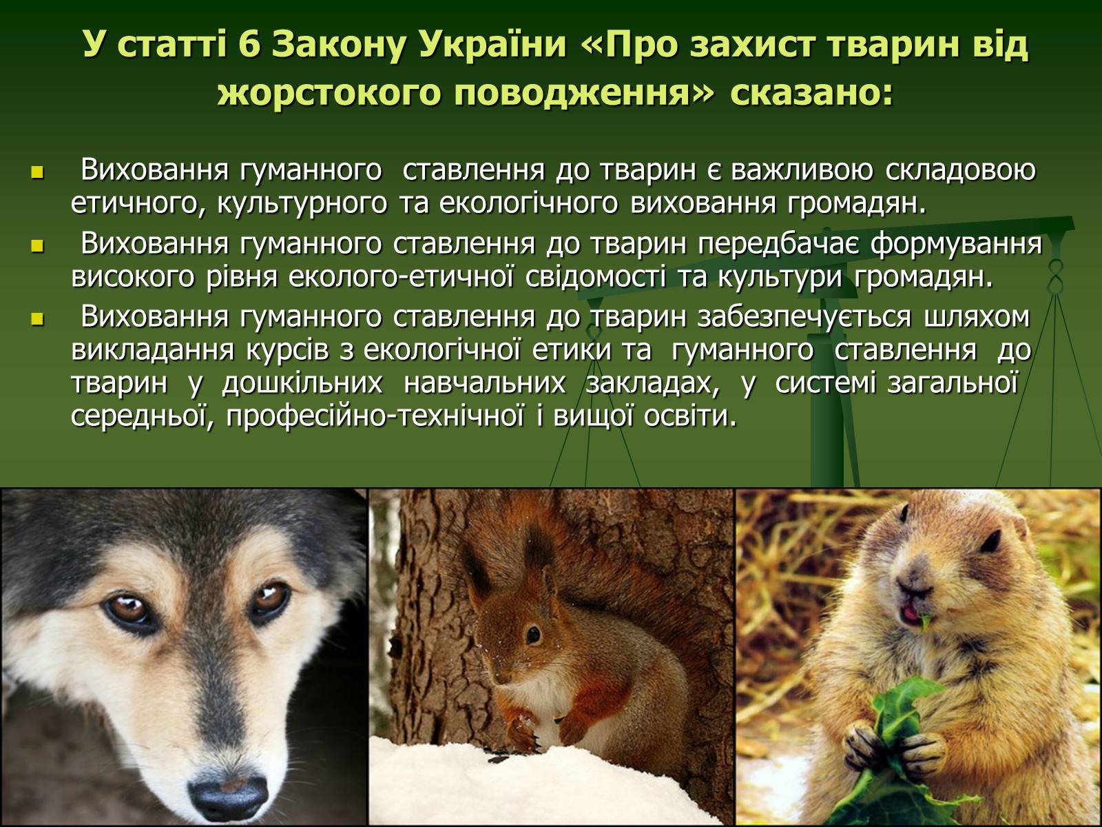 Презентація на тему «Захист тварин в Україні» - Слайд #4